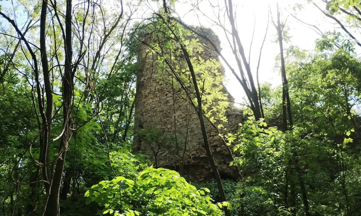 Cetatea Cuiești(Turcului), Bocșa, Romania, Romania
